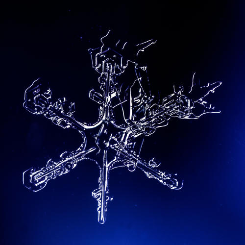 顯微鏡的暗視野