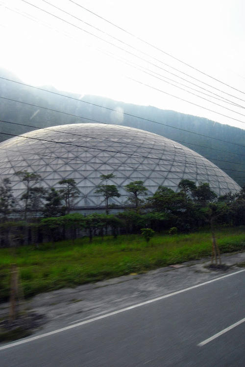 花蓮行之…回家