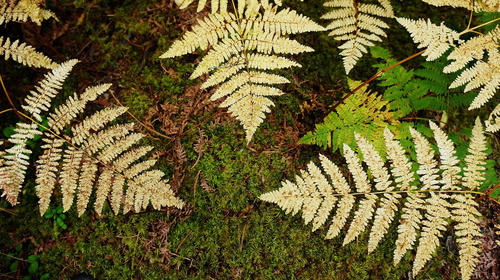 Vite 與環境變數