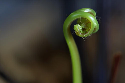 Masonite 資料庫 Migration